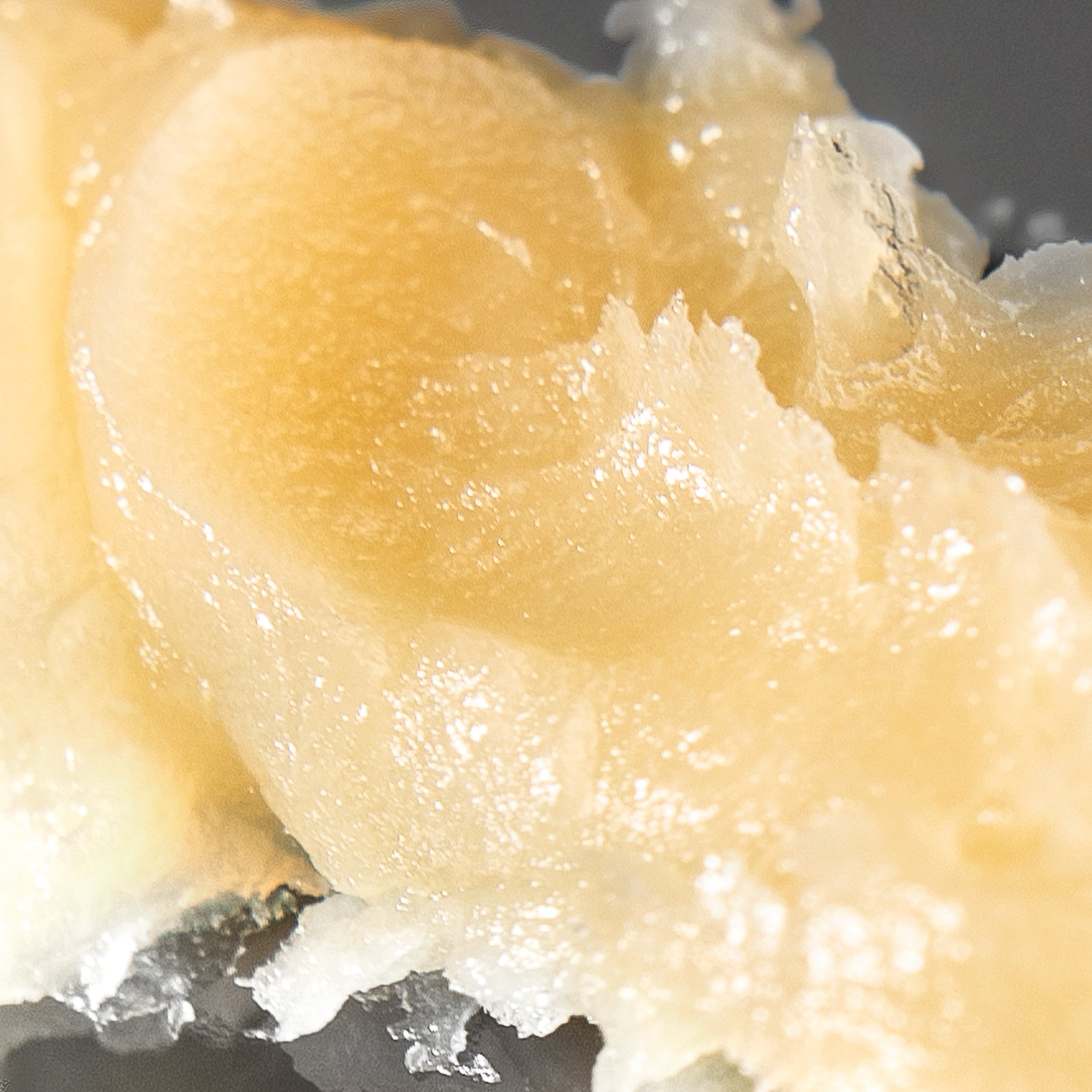 Unguento Rigenerante alla Propolis